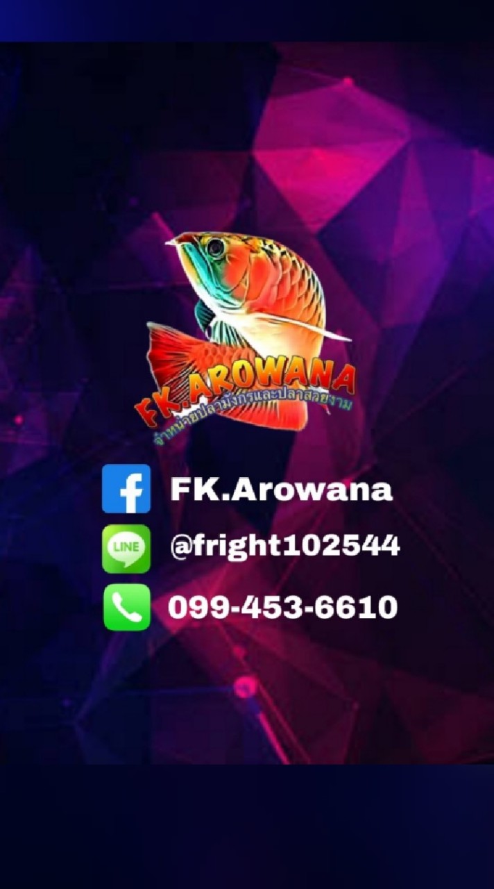 FK.FISH_SHOP