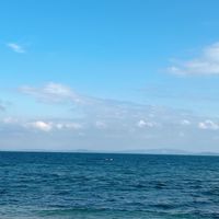 三浦半島ハンドメイド