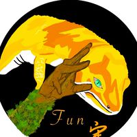Fun守