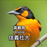 信義社大，晚上，手機教學，楊老師