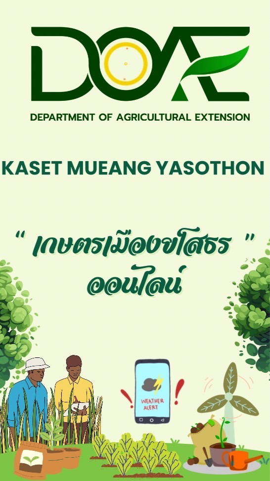 อัลบั้ม kaset clip vedio 🎥🌿
