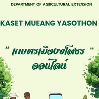 อัลบั้ม kaset clip vedio 🎥🌿