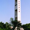 115學年 僑生群