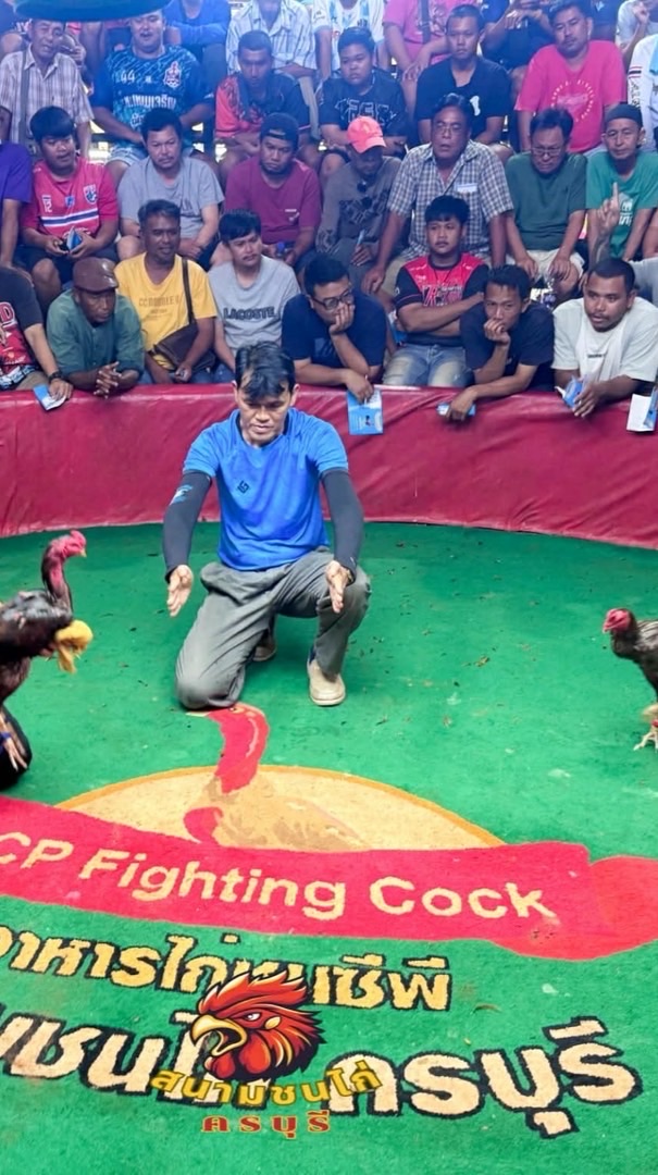 🐔สนามชนไก่ครบุรี
