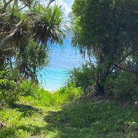 まったり…🏖ゆるく…「沖縄県那覇市メイン♬ぼっち」の憩いの場