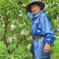阿公自己種的-宜蘭蔬果