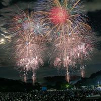2026盛岡どんぱ