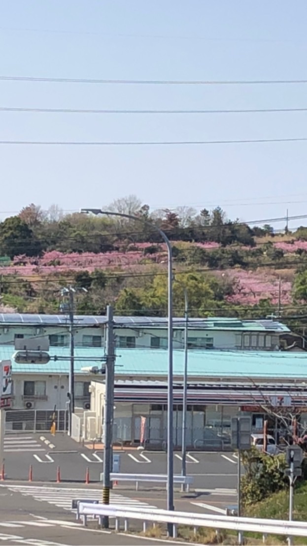 地域の特産物を守ろう