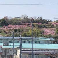 地域の特産物を守ろう