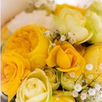 黄色いバラ🌹相談室