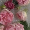 キミにFall in love！♡  ＊全緩ハント