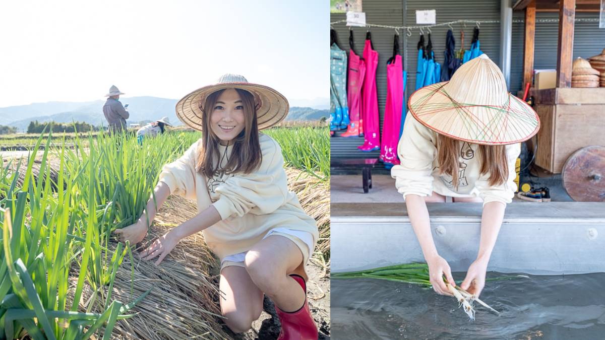 最低50元玩整天！2023新開幕６家「親子農場」：近距離餵水豚、１日小小蔥農