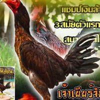 แก้วเกรียงไกรฟาร์ม