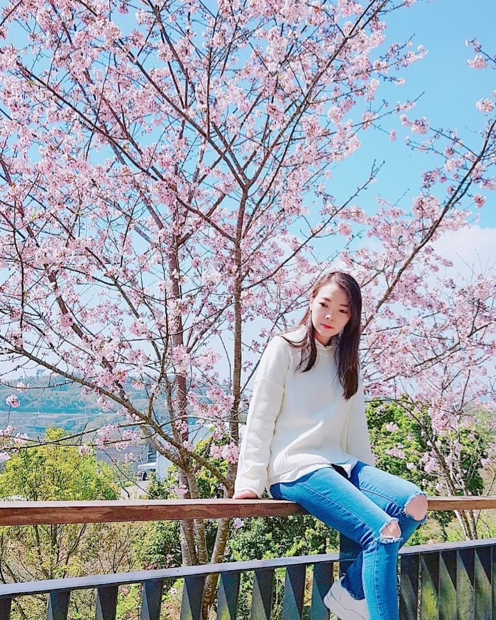 2021阿里山櫻花季｜阿里山櫻花｜嘉義景點｜嘉義阿里山｜阿里山賞櫻