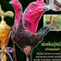 เกียรติศักดิ์ ฟาร์ม