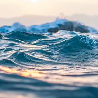 浪豆花