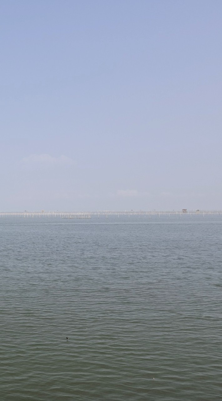 สีน้ำเงิน :กีฬาผู้สูงอายุ