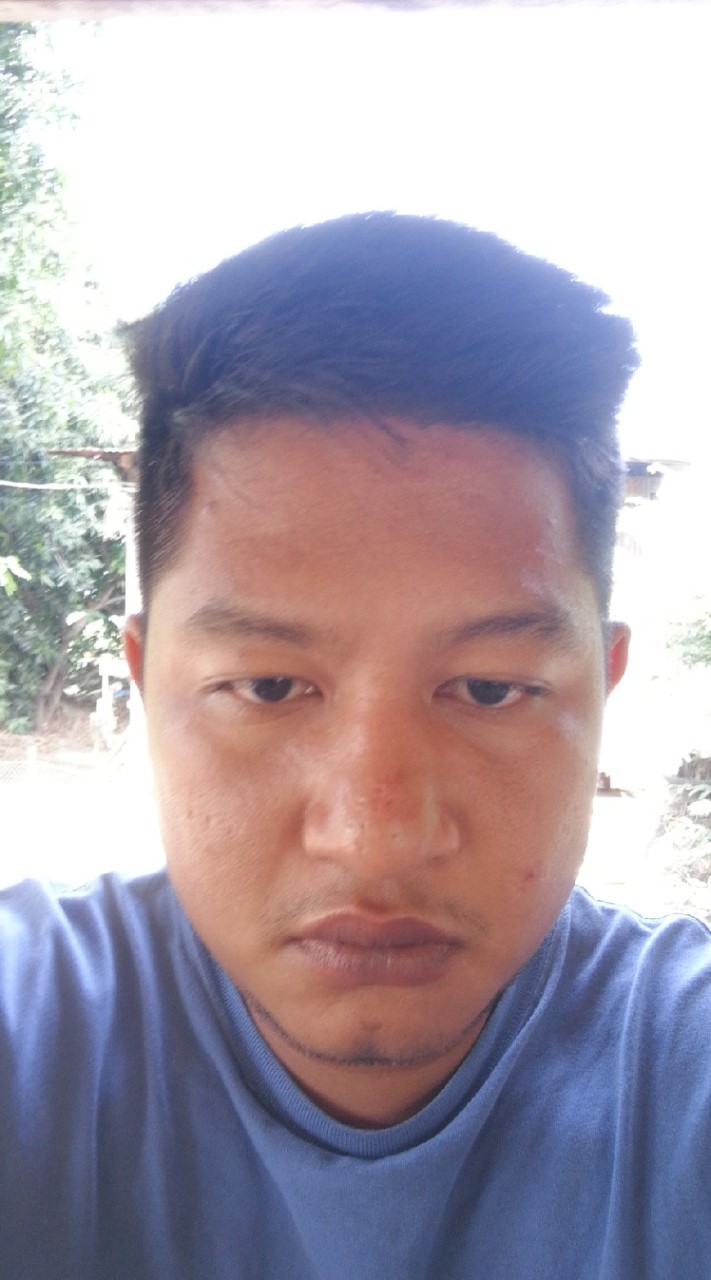 นพดล