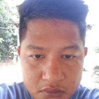 นพดล