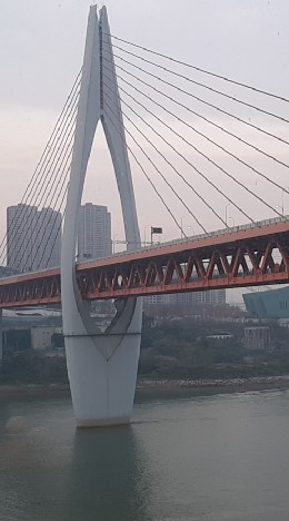 國際新移民交流群
