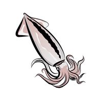 【イカ限定！】釣りビト★［みんなの釣果情報 / エギング イカ エギ 海釣り 川釣り バス釣り ］