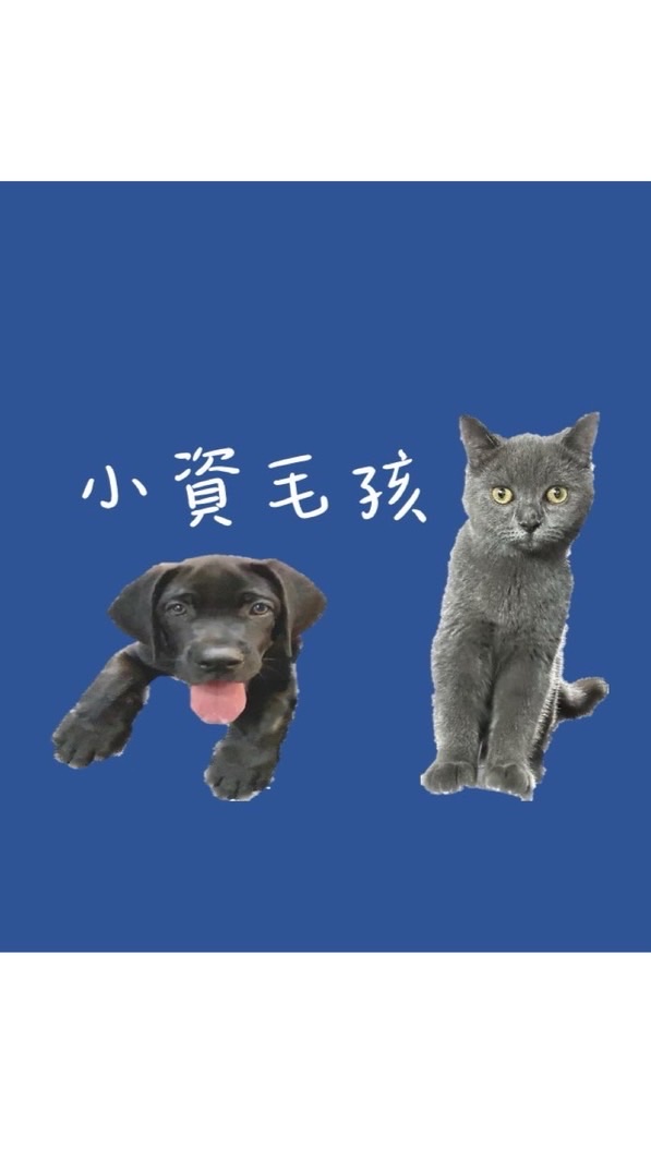 小資毛孩🐾