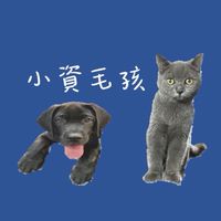 小資毛孩🐾