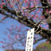 心情💖聽歌🎧不解釋