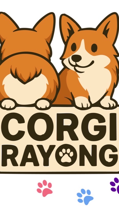 Corgi Rayong