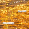 ☆₊⁺✨ 瑜 風 霽 月🌙𓂃꙳⋆