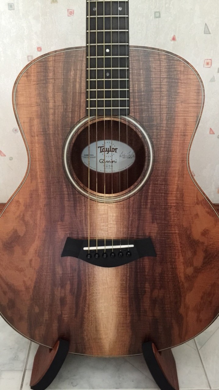 Guitar Lovers