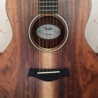 Guitar Lovers