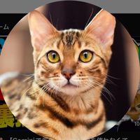 さとりの世界一やさしいAI教室