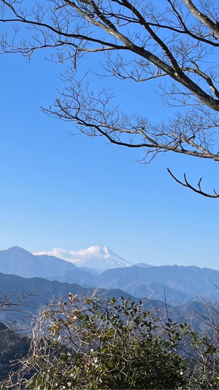 ゆるゆる山歩き