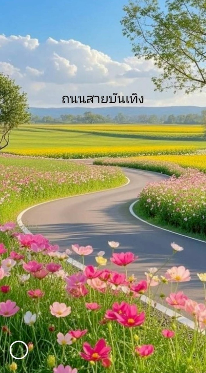 ถนนสายบันเทิง