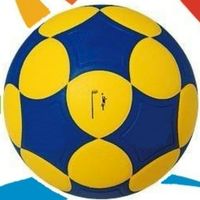 霧峰國中籃合球隊員