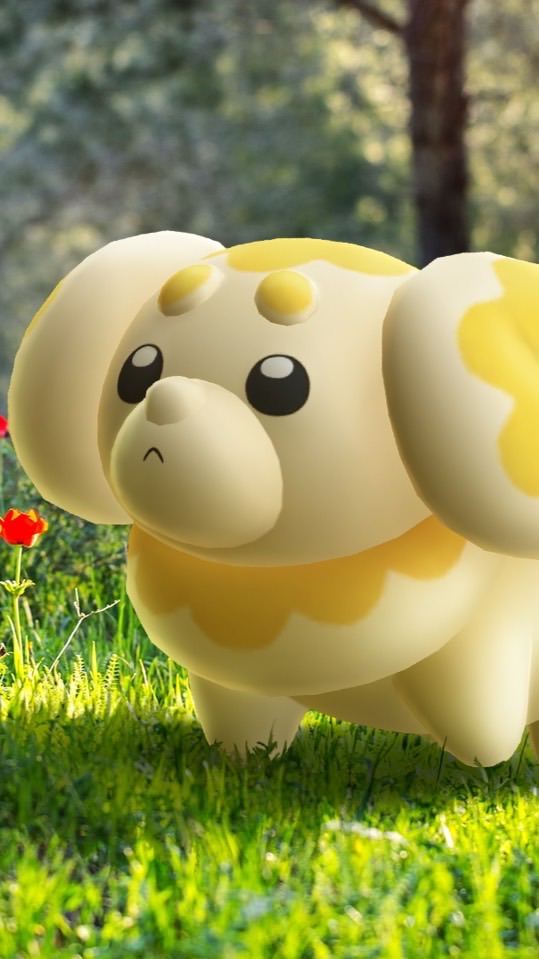 成功鎮Pokémon GO⚡️