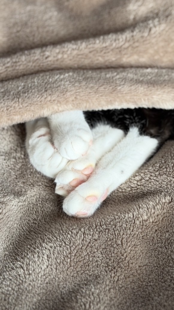 【別宅】かおる@リアル秘書