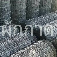 รั้วตาข่ายผักกาด