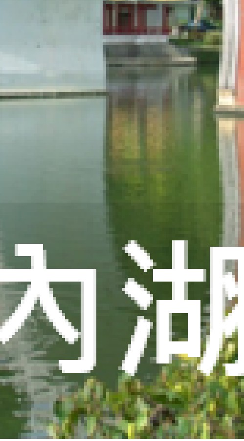 我是內湖人