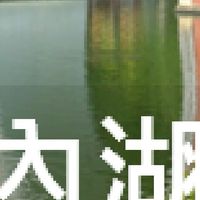 我是內湖人