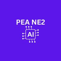 PEA NE2 AI for Manager