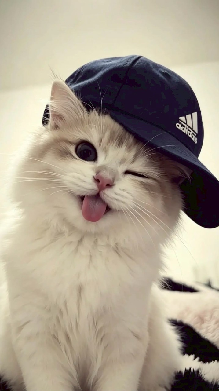 ‎ ׂ𓈒ׅ ֹ🍥 ֹ𓈒ׅ.  แอพพรี/เติมเกม NM ׅ ׂ𓈒ׅ  ֺཾ༷♥︎̥𓈒 𓈒ׅ ᱸ