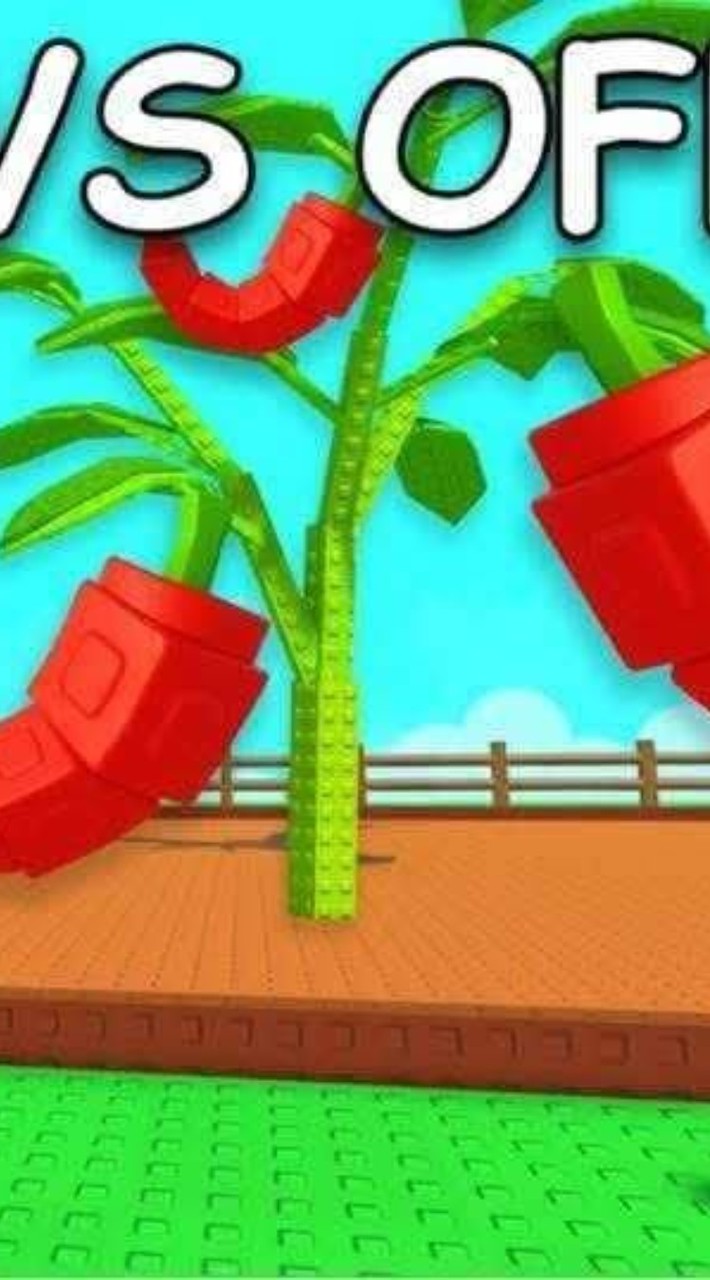 Roblox和貓戰聊天群