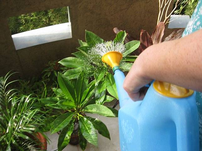 Bangun Kepagian? Lakukan 10 Kegiatan Ini Supaya Kamu Gak Tergoda Tidur Lagi