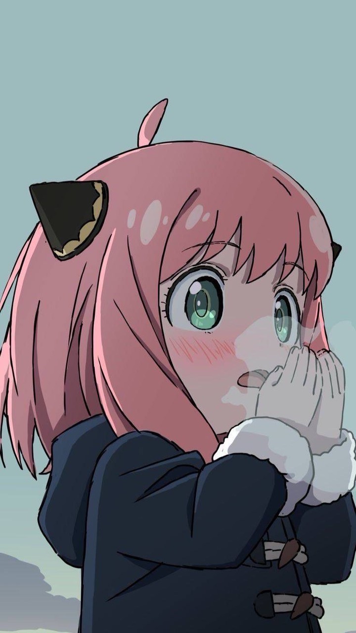 アニメ好きはとりあえず沖縄集まれ。アニメ好きじゃなくても集まれ。