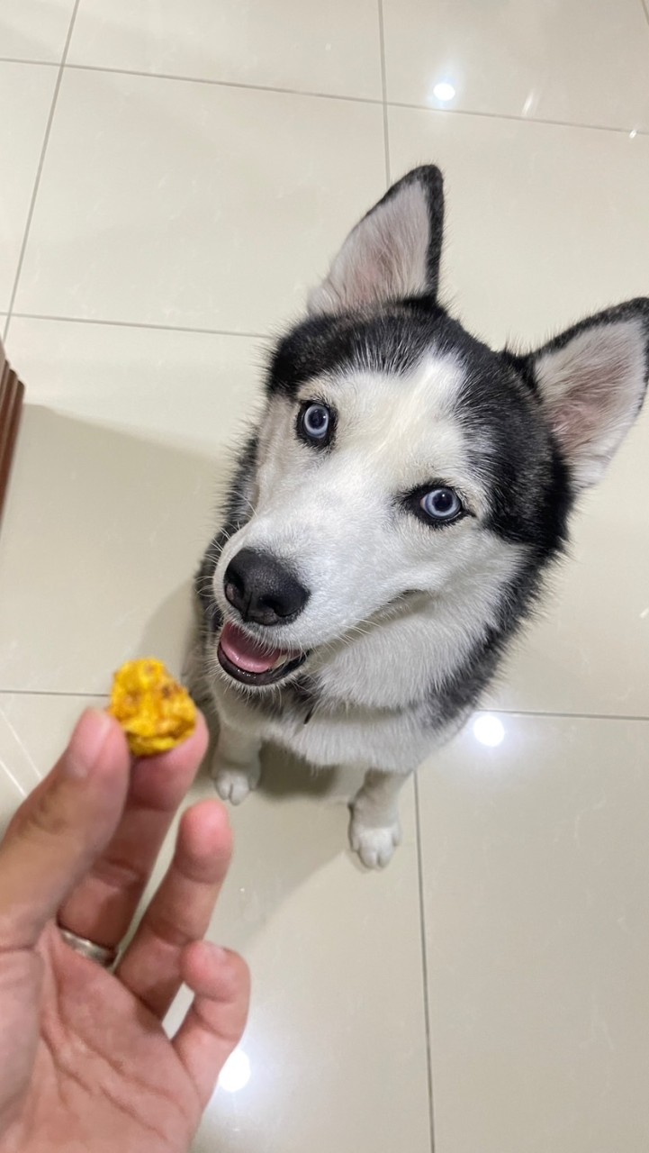 二哈 Halu滷 牛肉泡麵