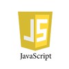 JavaScript professional