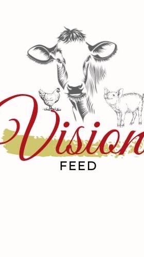 Visionshop89