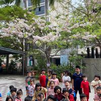 109成功附幼海豚班